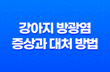 강아지 방광염 증상과 대처 방법 알아보기 29
