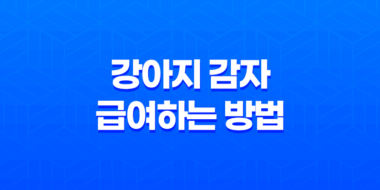 강아지 감자 급여하는 방법과 주의사항 49