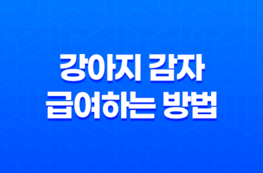 강아지 감자 급여하는 방법과 주의사항 7