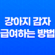 강아지 감자 급여하는 방법과 주의사항 25