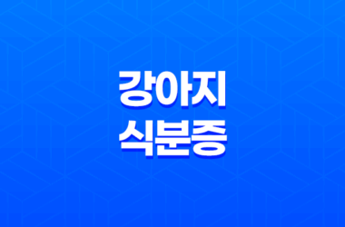 강아지 식분증, 원인과 효과적인 해결방법을 알아보자 13
