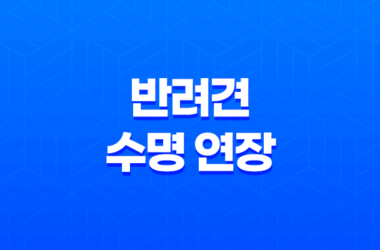 반려견의 수명 연장 - 애정과 관리로 알아보는 반려견 수명 관리법 19