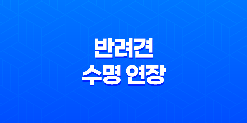 반려견의 수명 연장 - 애정과 관리로 알아보는 반려견 수명 관리법 8 반려견의 수명 연장 - 애정과 관리로 알아보는 반려견 수명 관리법 7