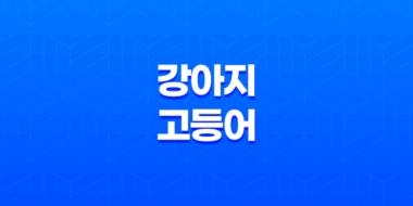 강아지 고등어 먹어도 되나요? 35