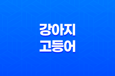 강아지 고등어 먹어도 되나요? 21