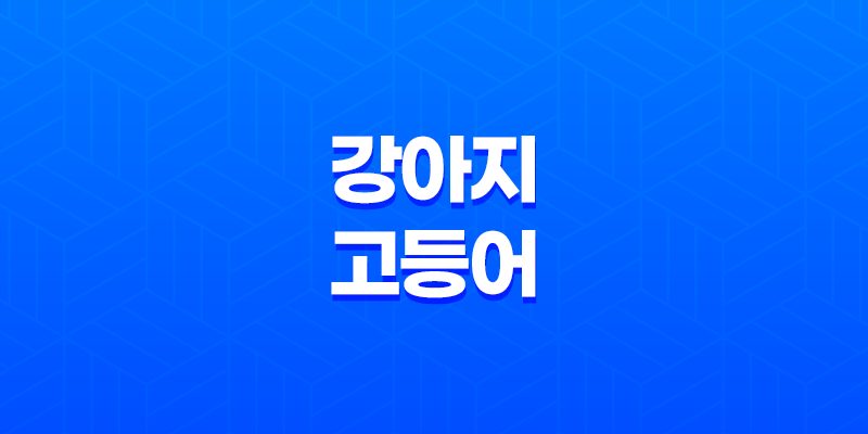 강아지 고등어 먹어도 되나요? 8 강아지 고등어 먹어도 되나요? 7