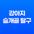 강아지 슬개골 탈구 증상, 원인, 예방법 21