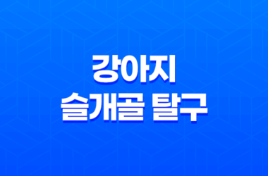 강아지 슬개골 탈구 증상, 원인, 예방법 25