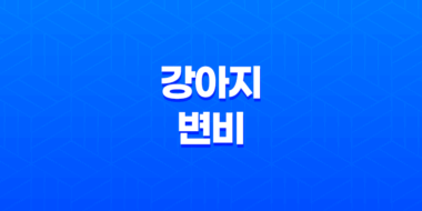강아지 변비, 이렇게 대처하세요! 원인부터 증상, 해결법까지 57