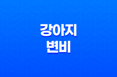 강아지 변비, 이렇게 대처하세요! 원인부터 증상, 해결법까지 27