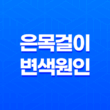은목걸이 변색 원인과 집에서 쉽게 해결하는 세척 방법 21