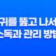 귀를 뚫고 나서 소독과 관리 방법 29