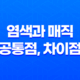 염색과 매직 공통점, 차이점, 성분 비교 27