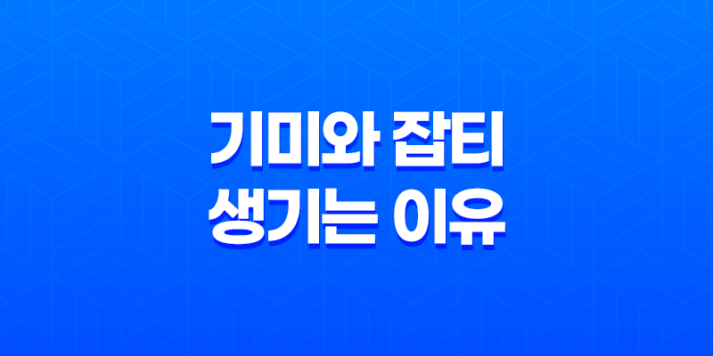 기미와 잡티 생기는 이유와 제거 방법 7