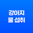 강아지 물 섭취 - 수돗물 vs. 기타 물 종류 27