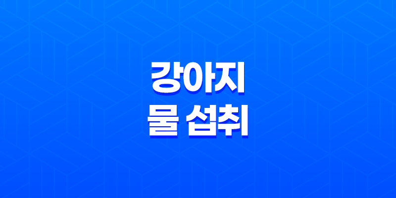 강아지 물 섭취 - 수돗물 vs. 기타 물 종류 8 강아지 물 섭취 - 수돗물 vs. 기타 물 종류 7