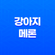 강아지 메론 급여해도 되나요?(+ 메론 급여 방법과 주의사항) 27