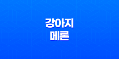 강아지 메론 급여해도 되나요?(+ 메론 급여 방법과 주의사항) 43
