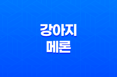 강아지 메론 급여해도 되나요?(+ 메론 급여 방법과 주의사항) 17
