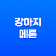 강아지 메론 급여해도 되나요?(+ 메론 급여 방법과 주의사항) 27