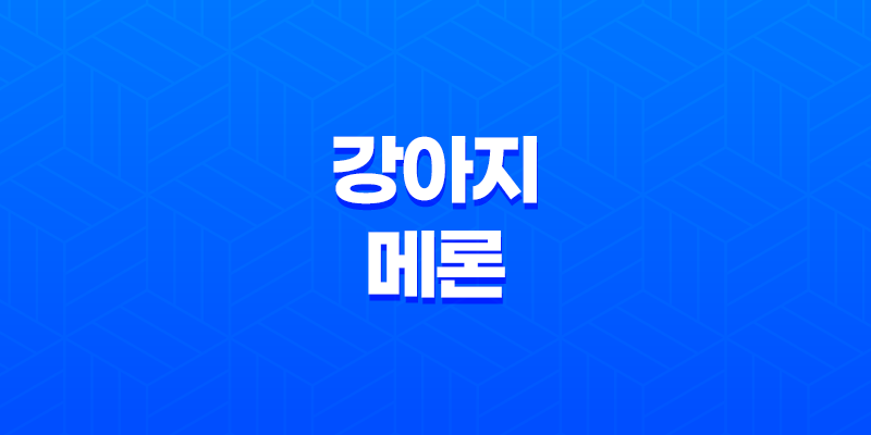 강아지 메론 급여해도 되나요?(+ 메론 급여 방법과 주의사항) 8 강아지 메론 급여해도 되나요?(+ 메론 급여 방법과 주의사항) 7