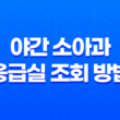 서울 휴일 야간 소아과 및 응급실 조회 방법 25