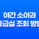 서울 휴일 야간 소아과 및 응급실 조회 방법 19