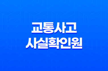 교통사고사실확인원 발급방법 3가지 25