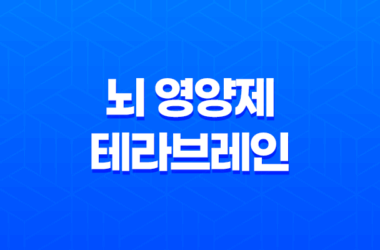 뇌 영양제 테라브레인 두뇌 건강을 위한 추천 제품 23