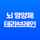 뇌 영양제 테라브레인 두뇌 건강을 위한 추천 제품 27
