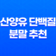산양유 단백질 분말 추천 효능과 섭취 방법, 가격 안내 33