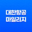 대한항공 마일리지 적립 방법과 혜택 29