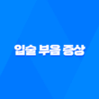 입술 부음 증상 원인과 해결방법 15
