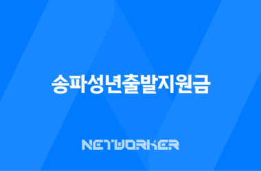 송파성년출발지원금 신청 및 사용처 - 송파구 청년지원금 안내 15