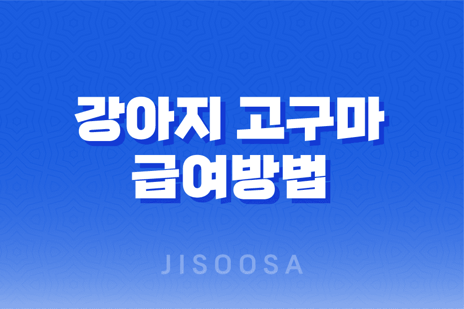 강아지 고구마 급여하는 방법과 주의 사항 1