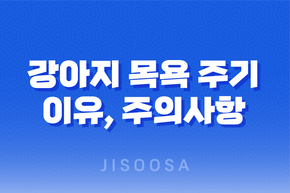 강아지 목욕의 비밀 – 주기, 이유, 주의사항 1