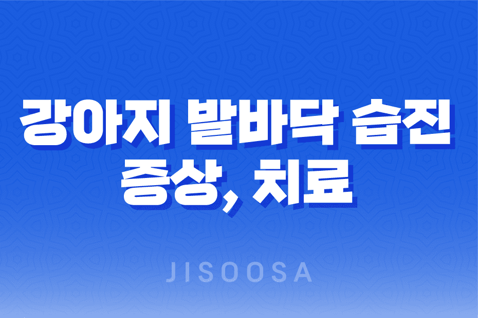 꼼꼼한 관리가 중요한 강아지 발바닥 습진: 증상, 치료 및 예방 1