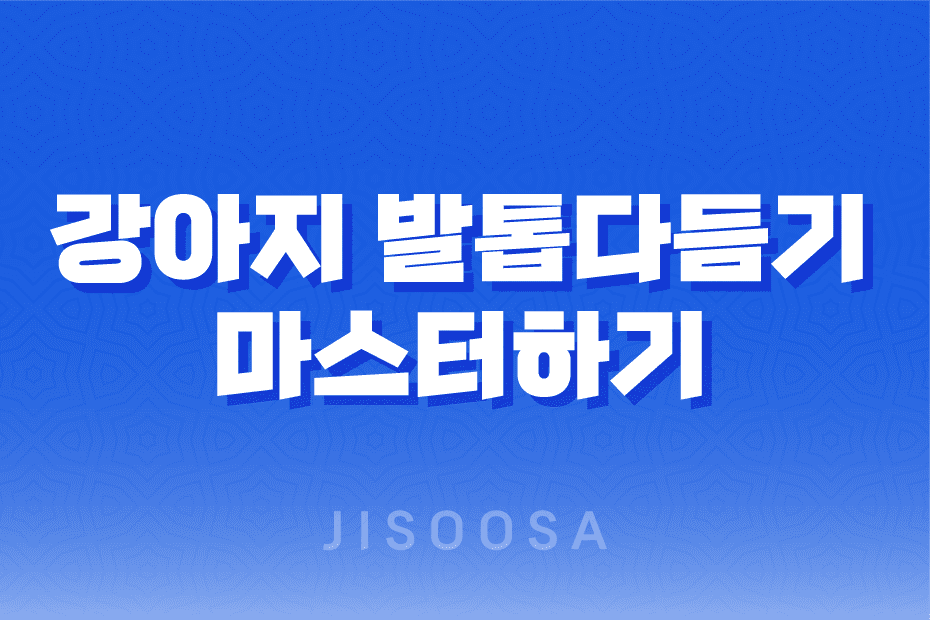 강아지 발톱 다듬기(+ 단계별) 1