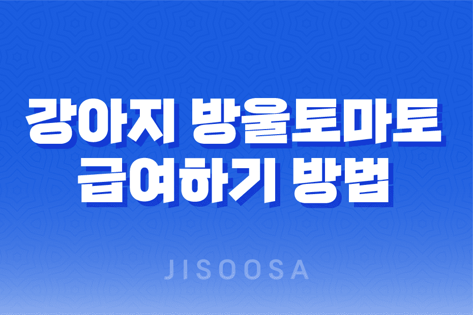 강아지 방울토마토 급여하기 방법과 주의사항 1