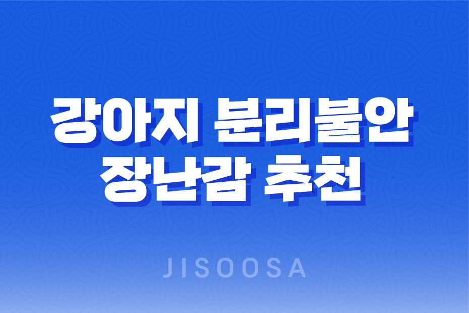 강아지 분리불안 해소를 위한 장난감 추천 리스트 1