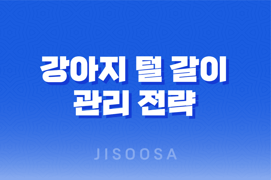 강아지 털 갈이 시기, 고려 사항 및 가장 효과적인 방법 1