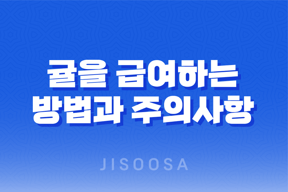 강아지에게 귤을 급여하는 방법과 주의사항 1