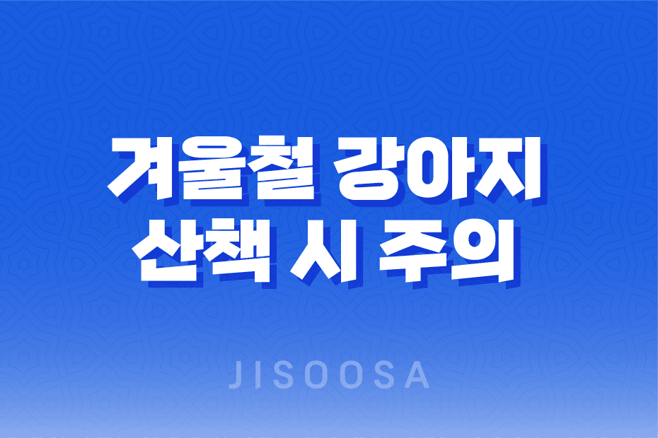 겨울철 강아지 산책 시 주의해야 할 염화칼슘의 위험성 1