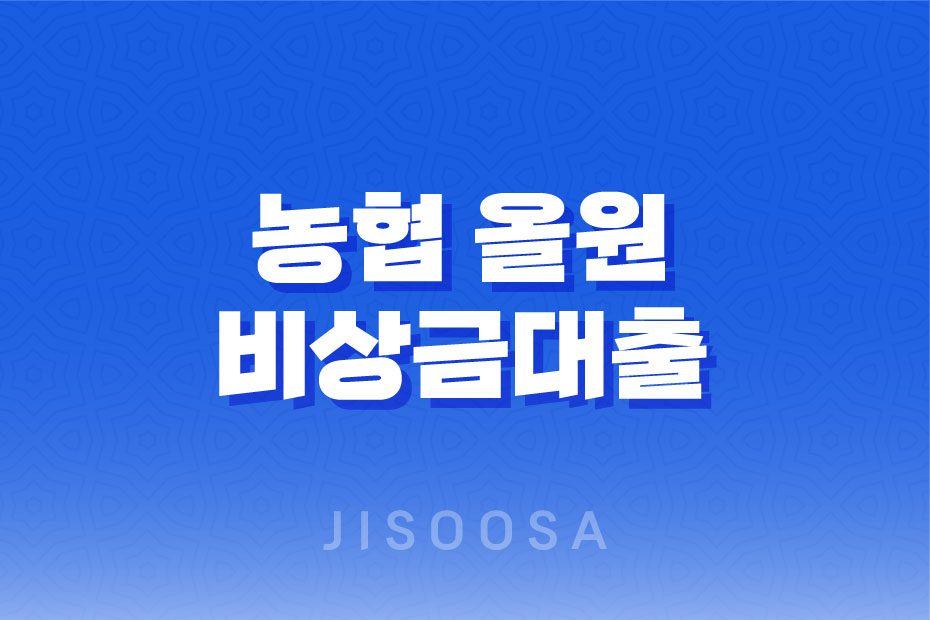 농협 올원 비상금대출, 소득 낮은 사람도 가능한 대출 상품 1