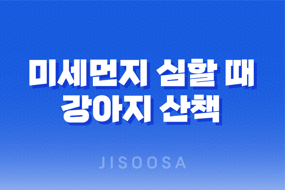 미세먼지 심할 때, 강아지 산책 하면 안되는 이유