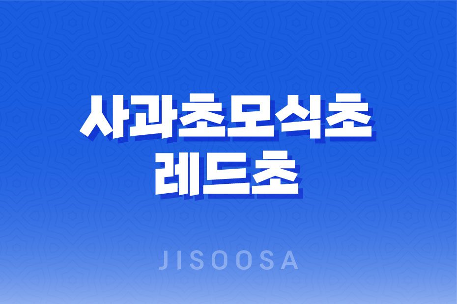 사과초모식초 레드초 건강과 다이어트에 효과적인 사과 발효 식초 1