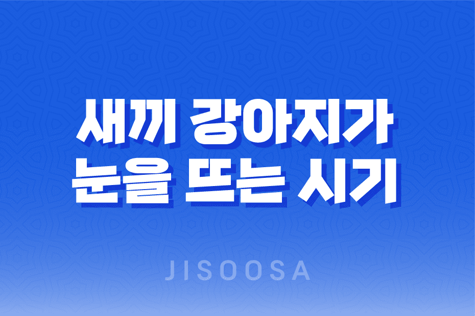 새끼 강아지가 눈을 뜨는 시기와 성장 과정 1