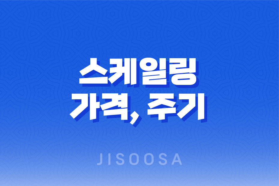 스케일링 가격, 주기, 의료보험 적용여부 및 주의사항