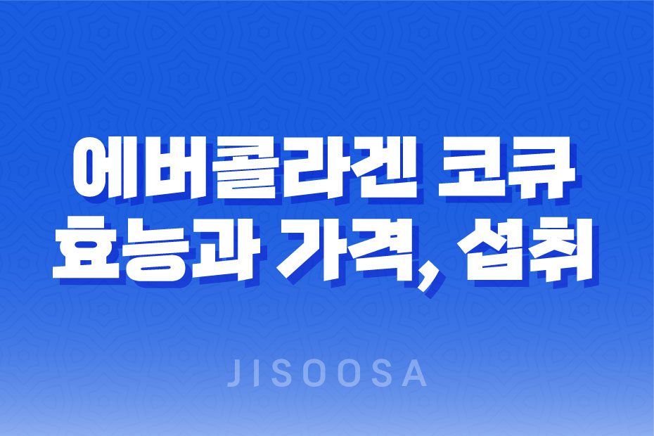 에버콜라겐 코큐 효능, 가격, 섭취 방법, 부작용 및 주의사항 2023년 1