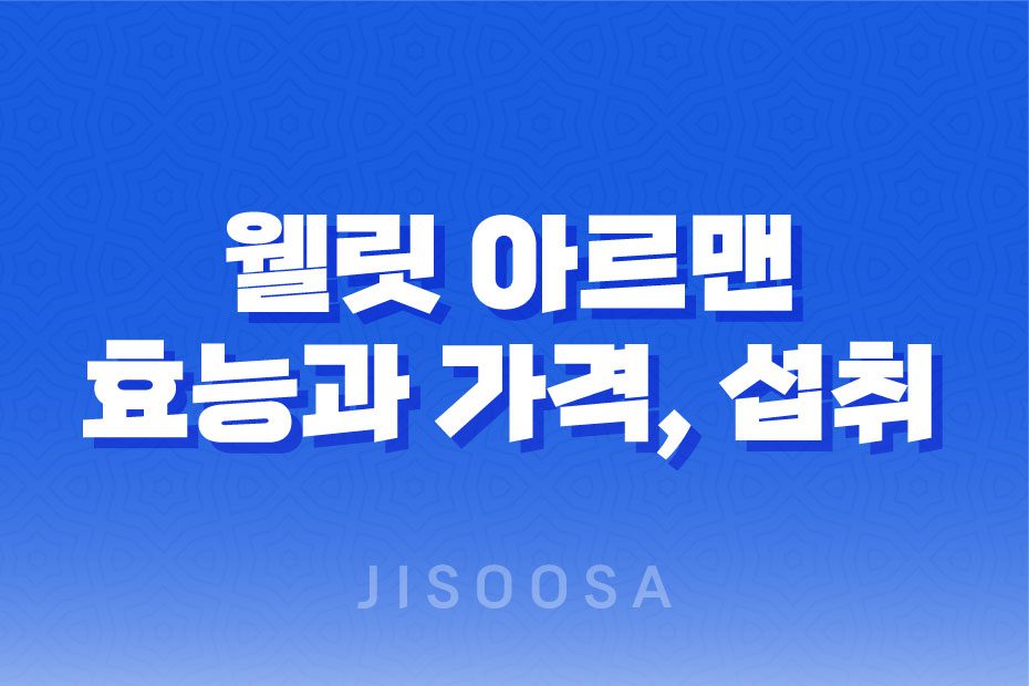 웰릿 아르맨 후기, 체력 회복과 활력에 도움되는 아르기닌 제품 1